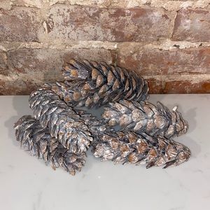Decorative Pine Cones